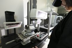 toyo_IMG_0851-scaled